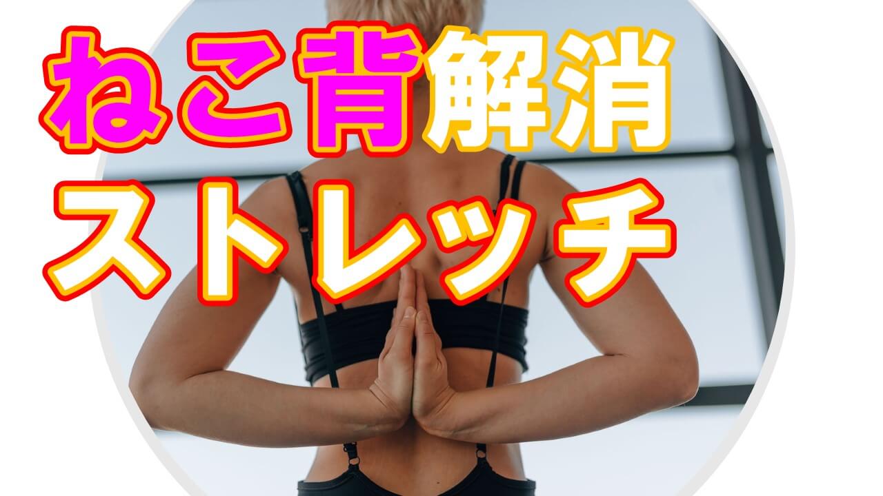 猫背 ねこ背 ストレッチ 筋膜リリース 猫背解消
